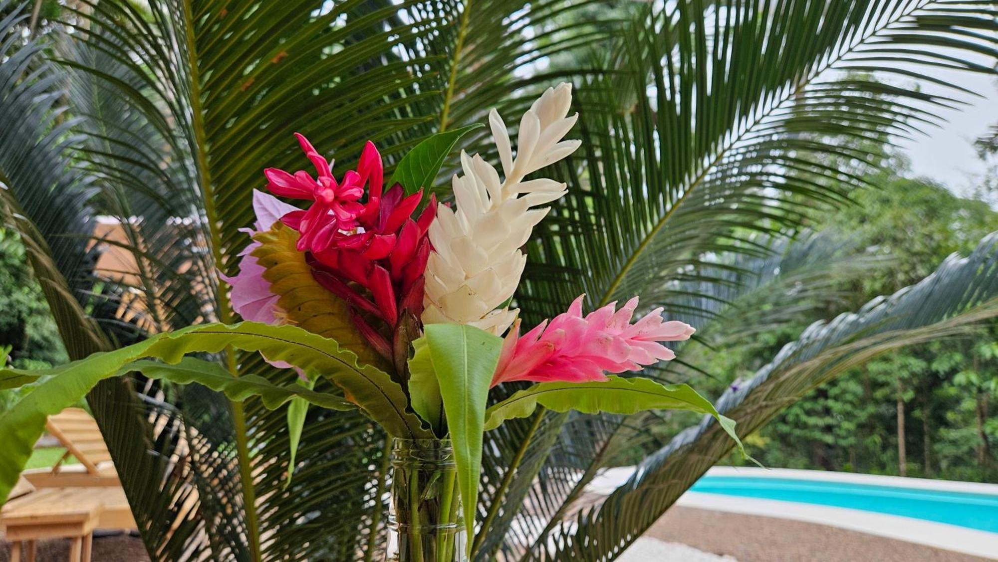 Fauna Lodge